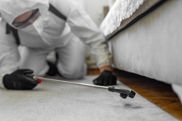 Professional Termite Control technician working in Baraga, MI