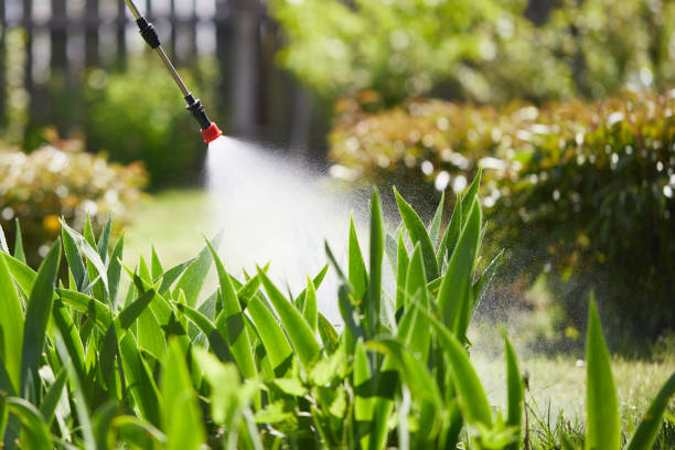 24/7 Emergency Termite Control experts in Baraga, MI