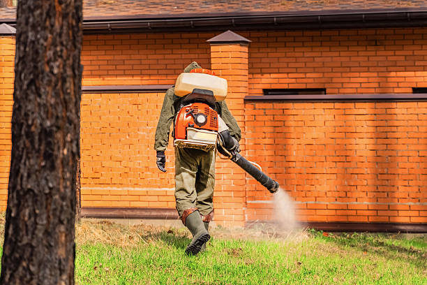Top rated local Termite Control specialists in Baraga, MI